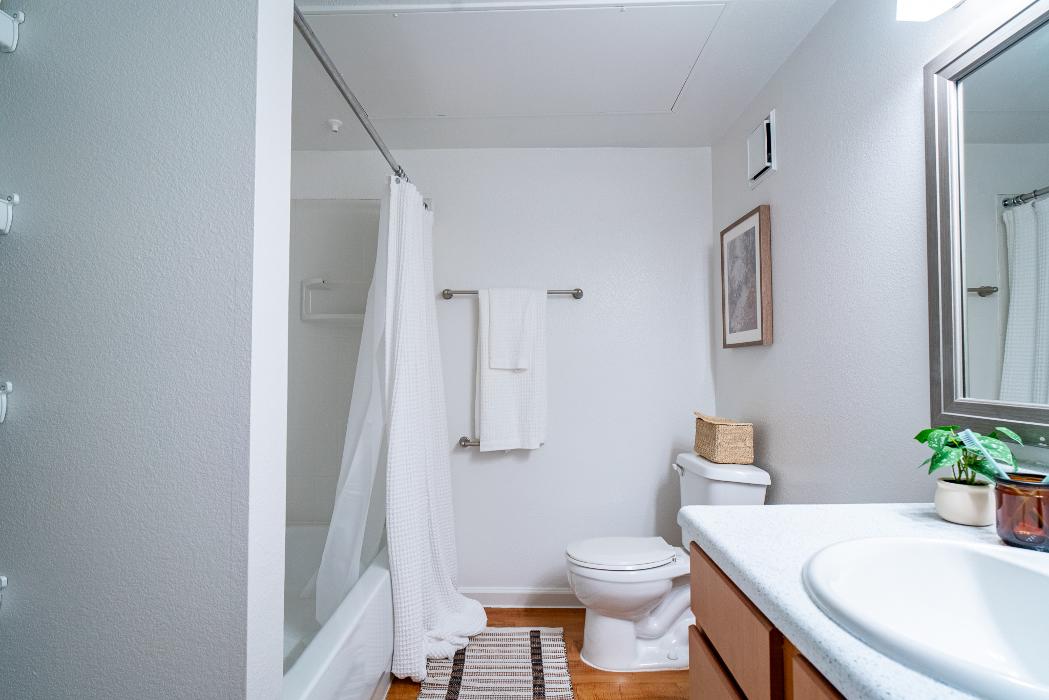 The Lowell at Mueller Image