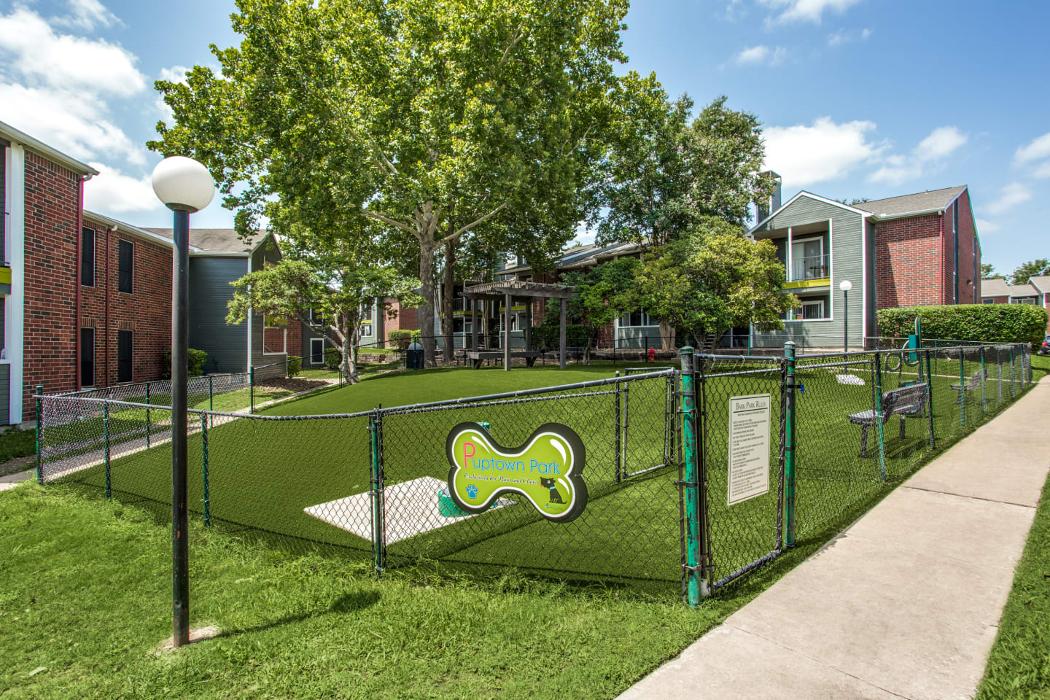 The Patten East Image