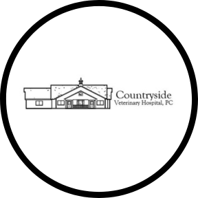 Circular Image
