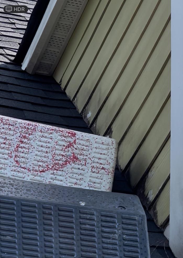 Adam's Painting & Repairs LLC Image