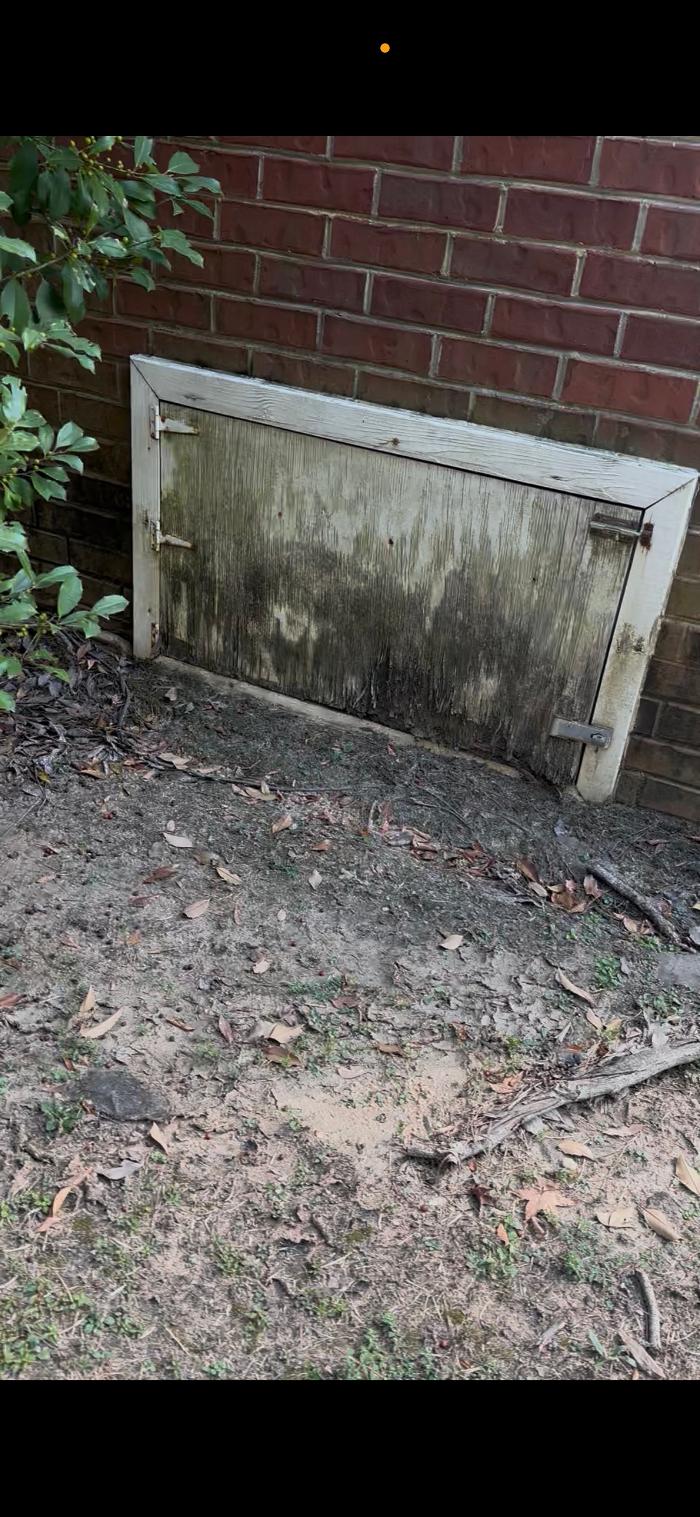 Adam's Painting & Repairs LLC Image