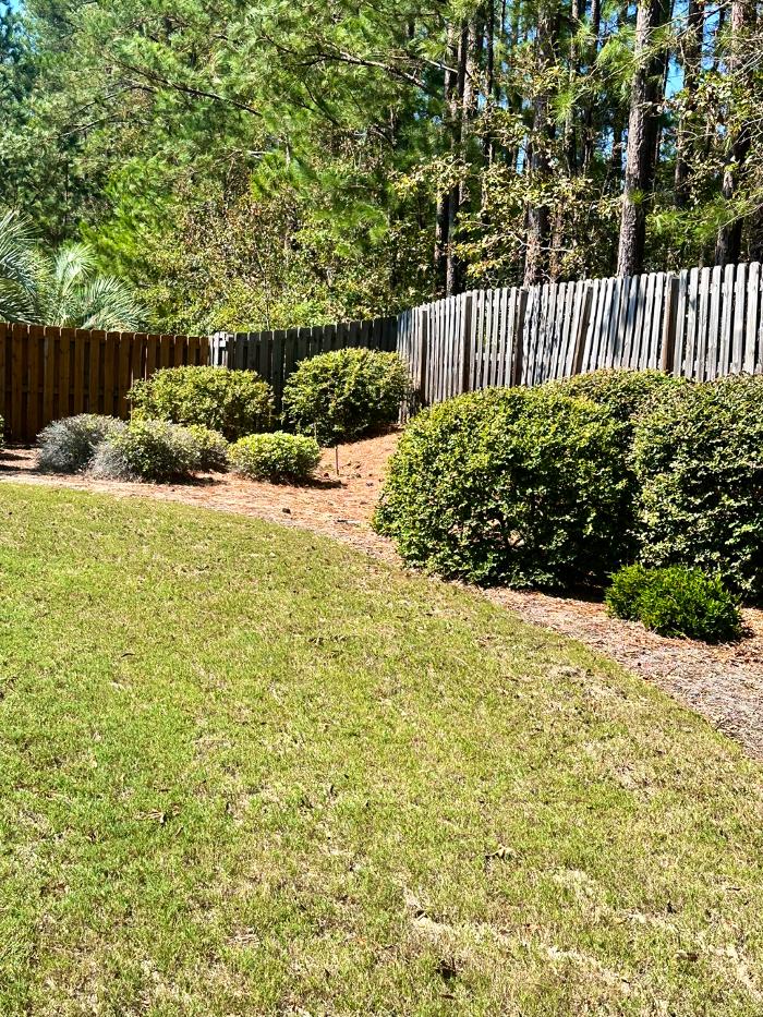 Adam's Painting & Repairs LLC Image