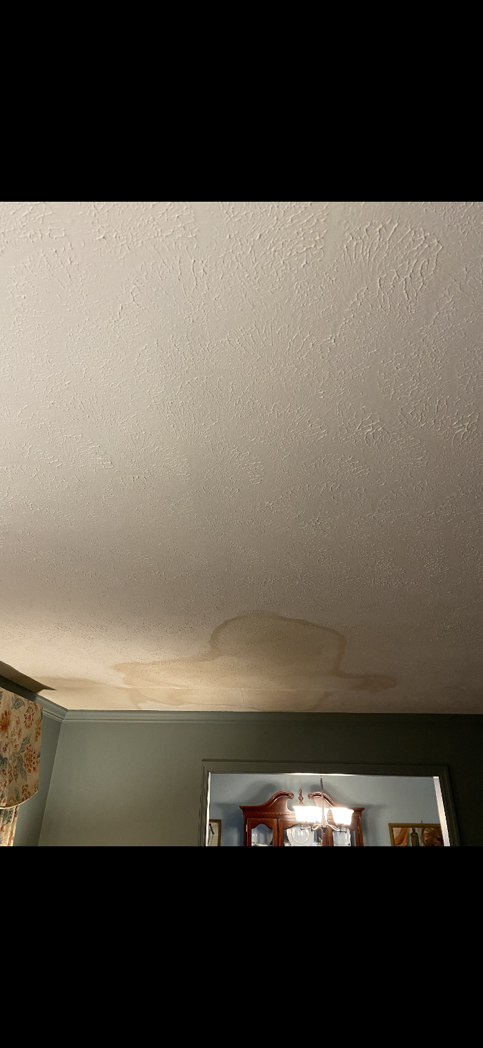 Adam's Painting & Repairs LLC Image