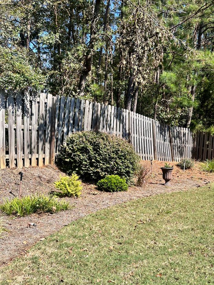 Adam's Painting & Repairs LLC Image