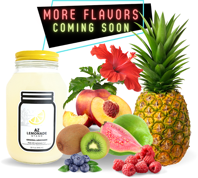 AZ Lemonade Stand Image