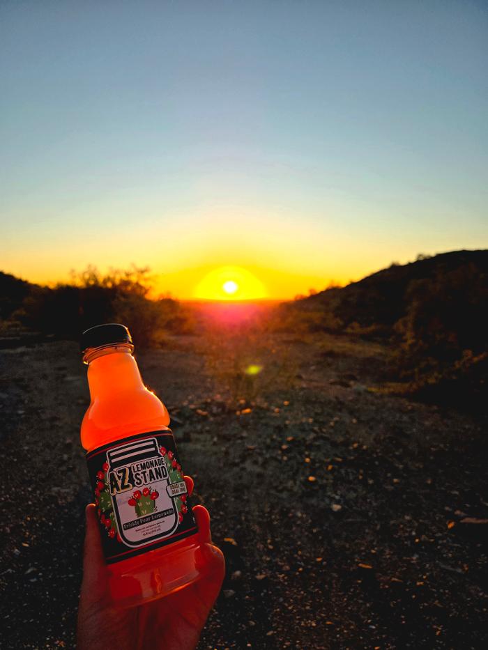 AZ Lemonade Stand Image