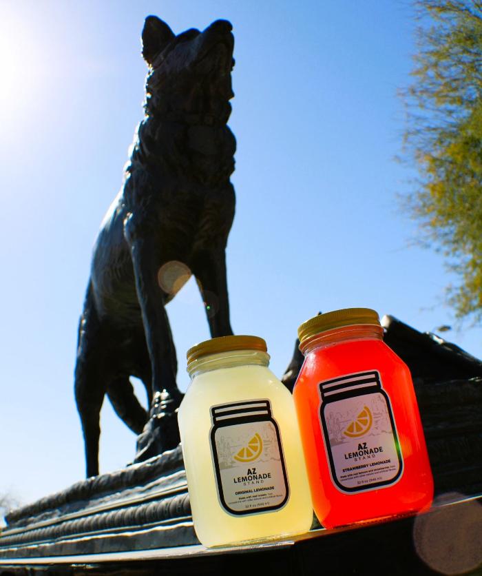 AZ Lemonade Stand Image
