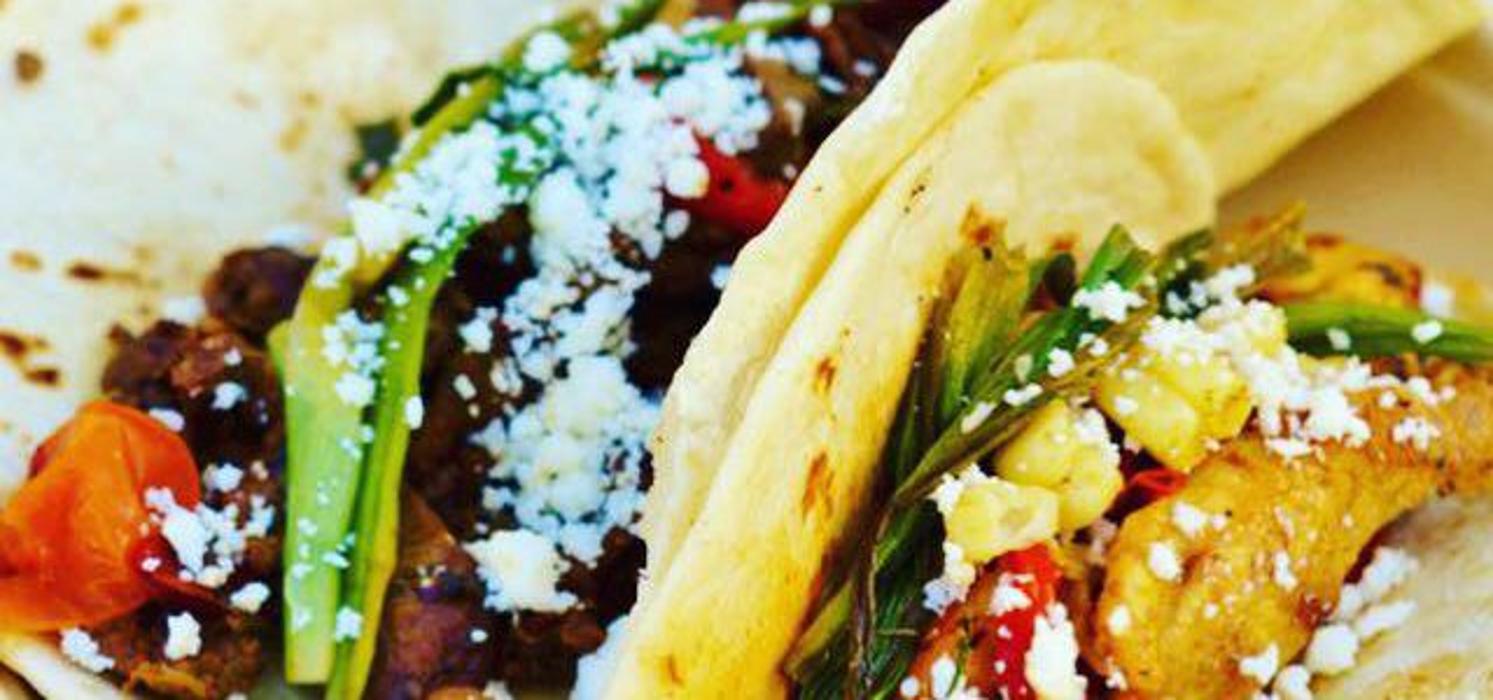 Modern Tortilla Image