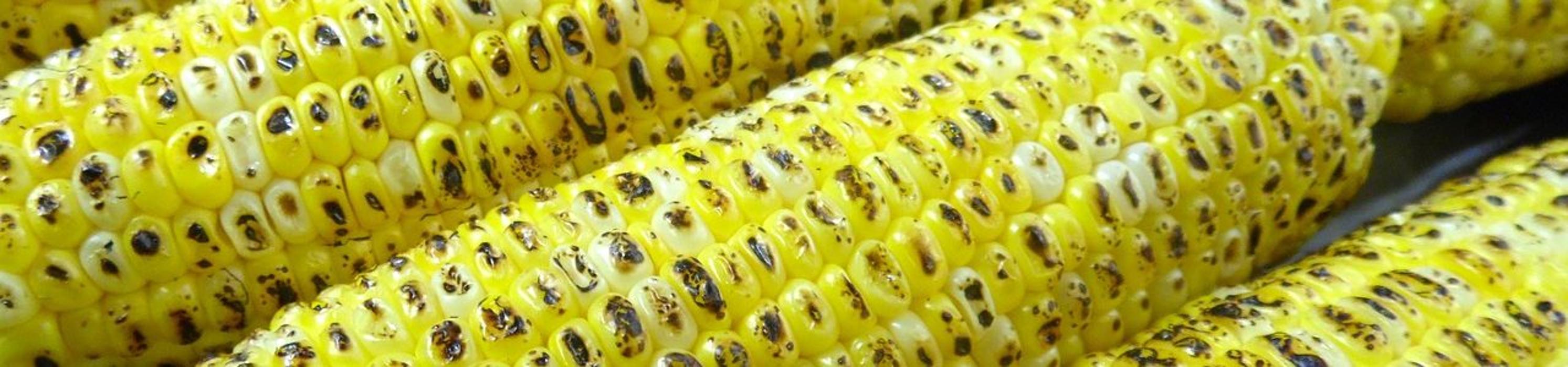 Modern Tortilla Image