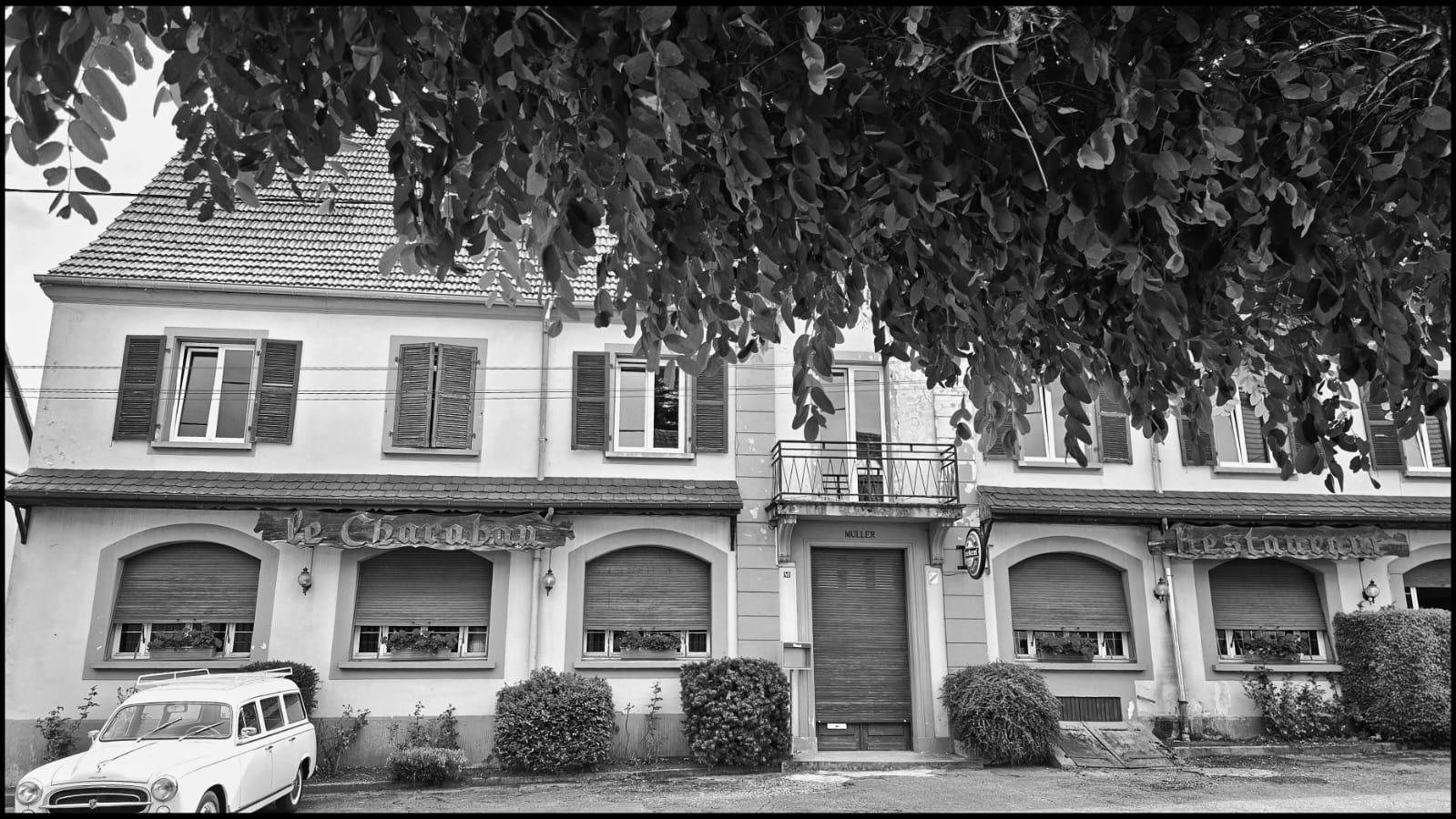 galerie image
