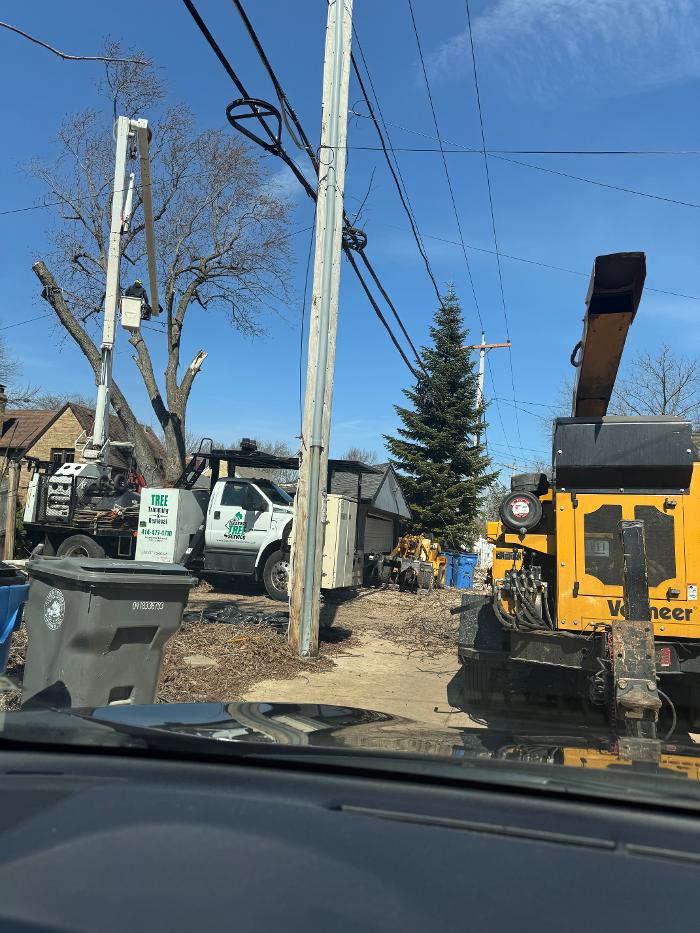 Eduardo's Tree Service