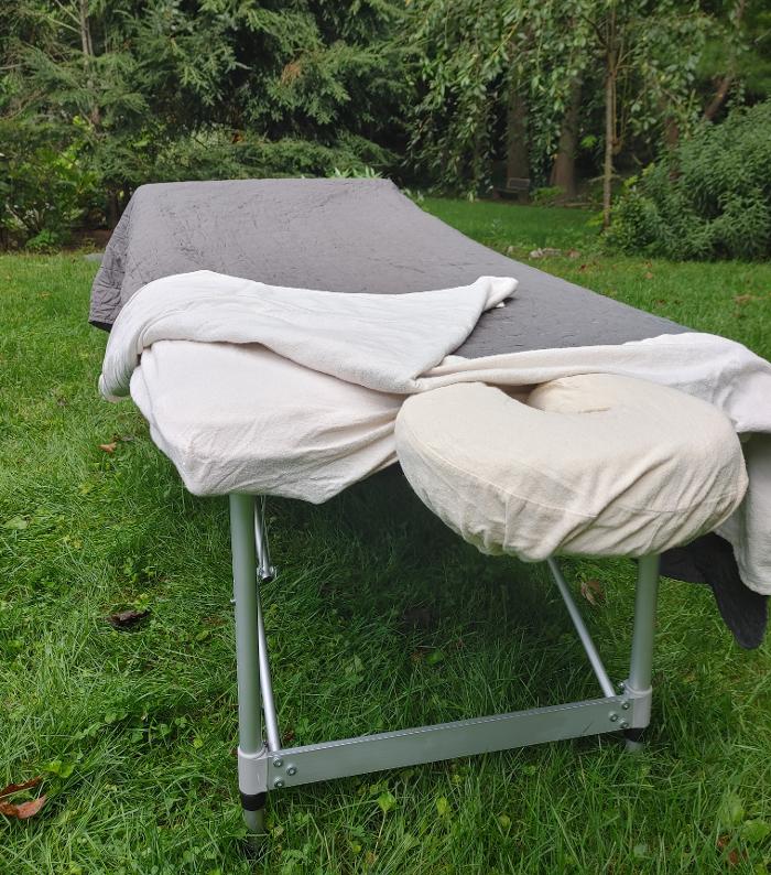 Panacea Mobile Massage Logo