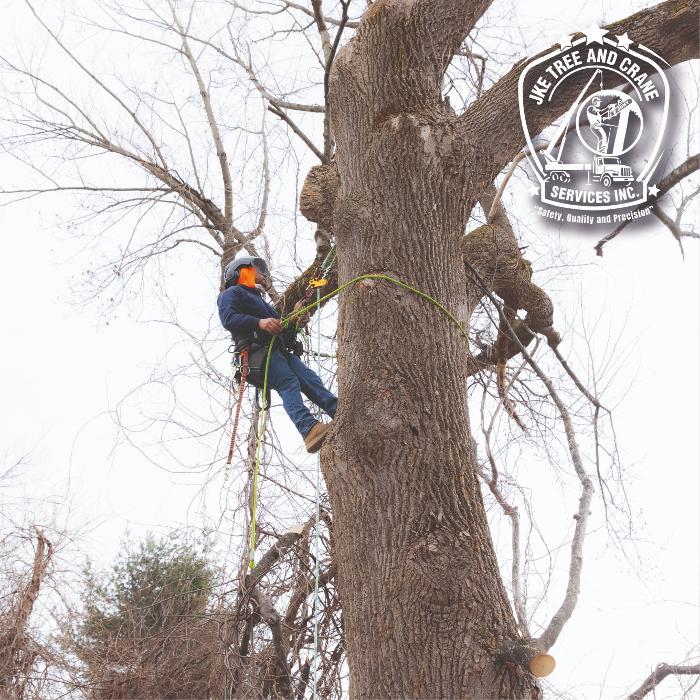 JKE TREE & CRANE SERVICES INC Image
