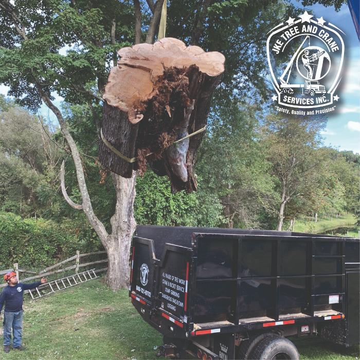 JKE TREE & CRANE SERVICES INC Image