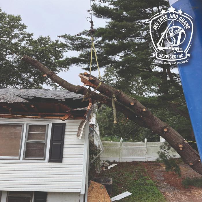 JKE TREE &amp; CRANE SERVICES INC Logo