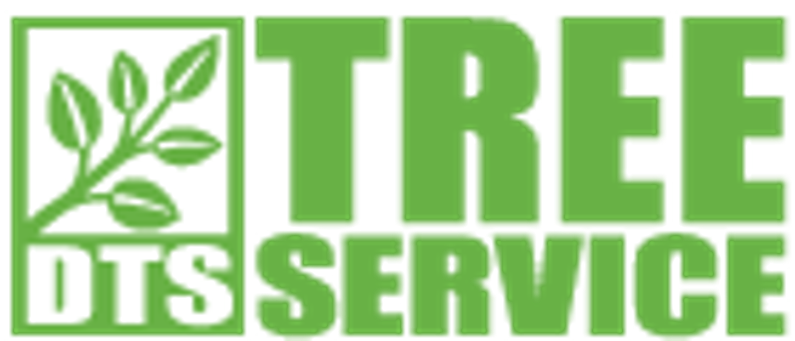 DTS Tree Service, East Kicklighter Road Logo