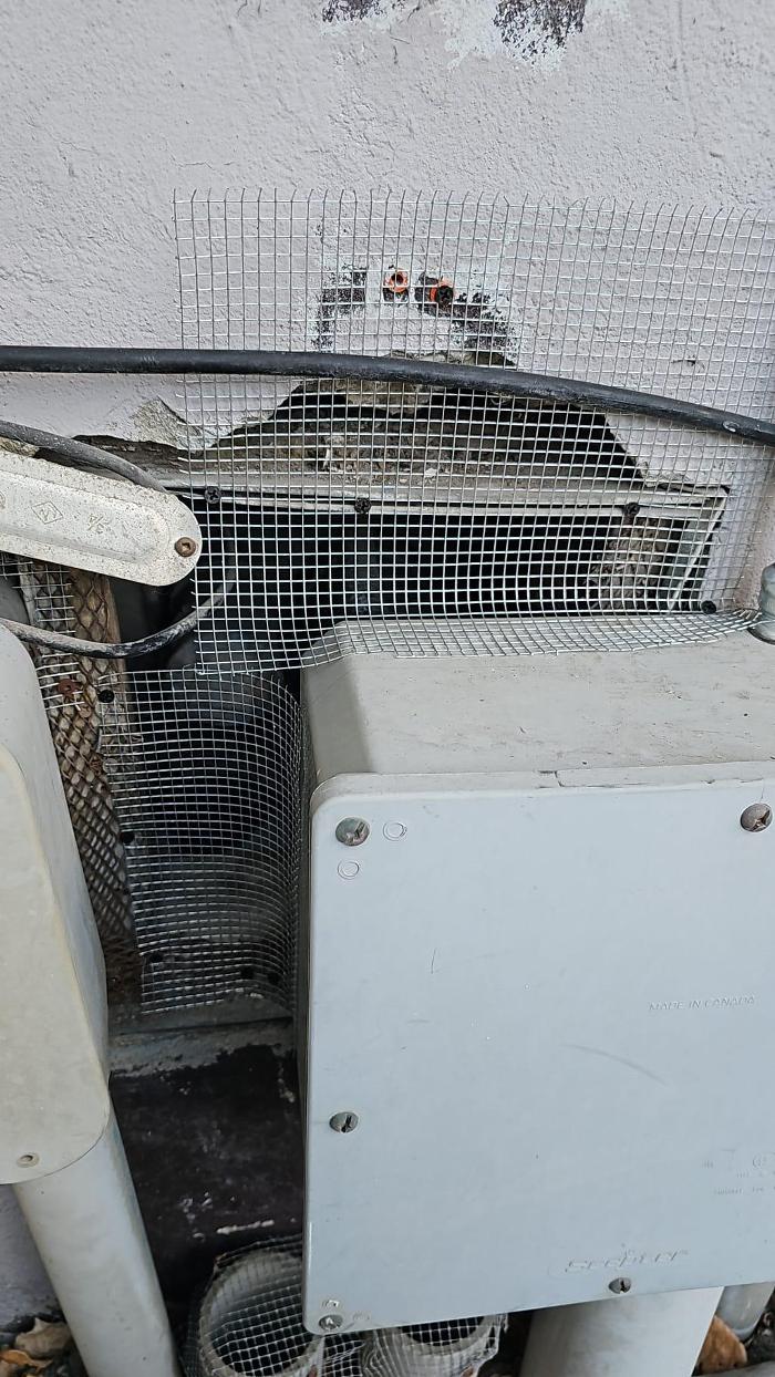 Innovative Pest Solutions