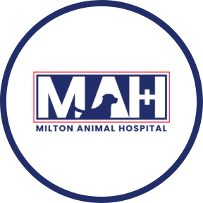 Milton Animal Hospital