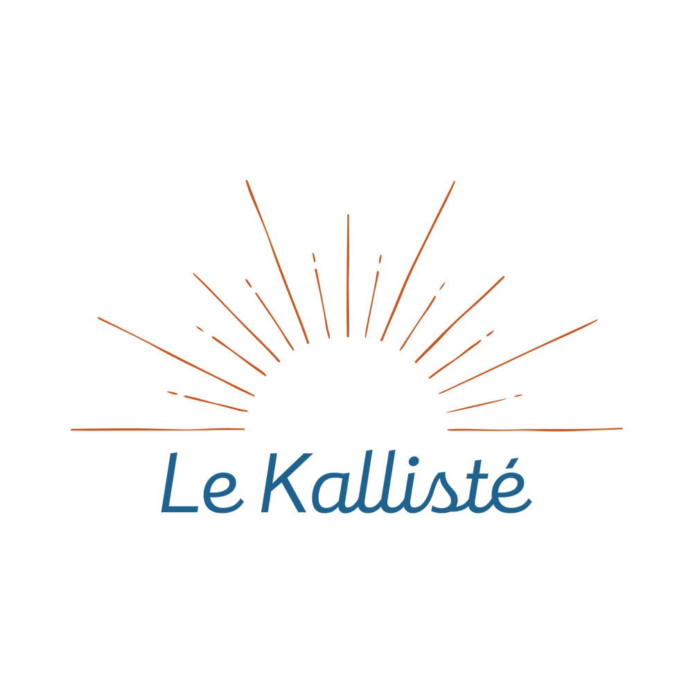 Hôtel Le Kallisté Hyères hôtel