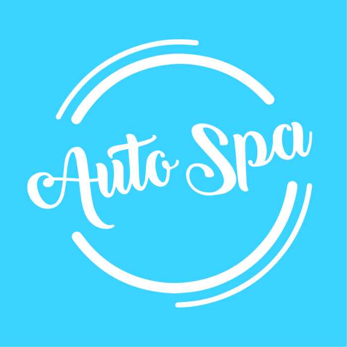 The Auto Spa