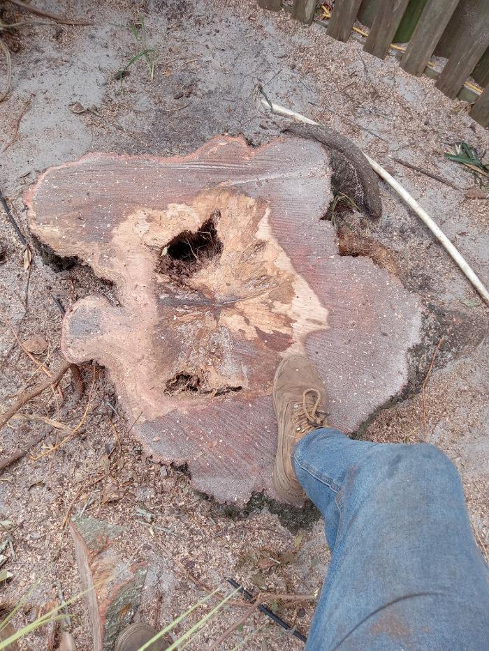 THERE'S A WAY TREE SERVICE LLC Image