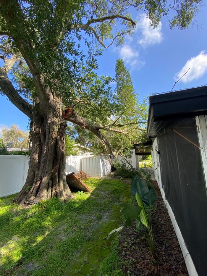 THERE'S A WAY TREE SERVICE LLC Image