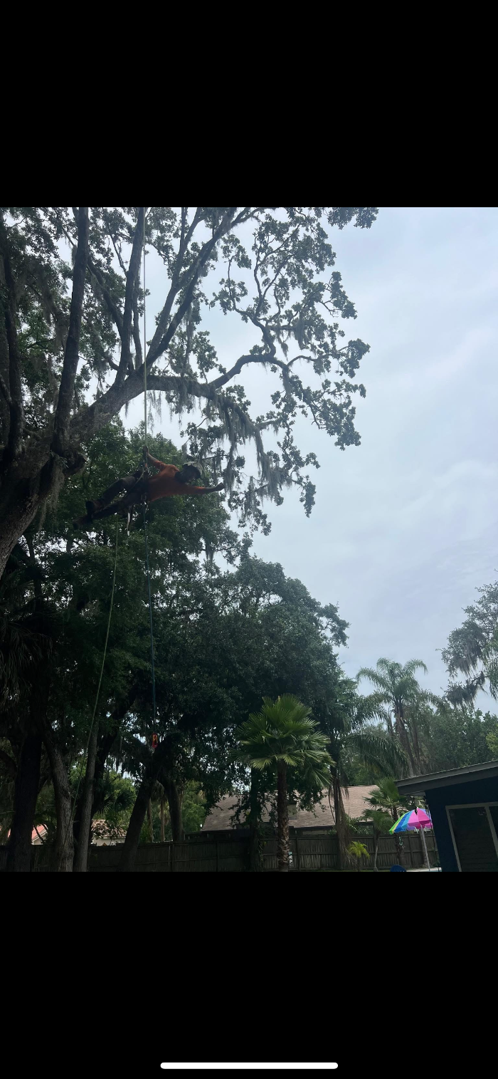 THERE'S A WAY TREE SERVICE LLC Image