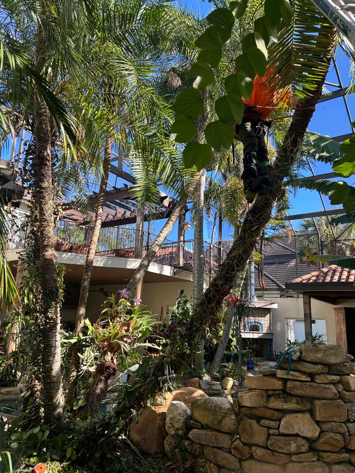 THERE'S A WAY TREE SERVICE LLC Image