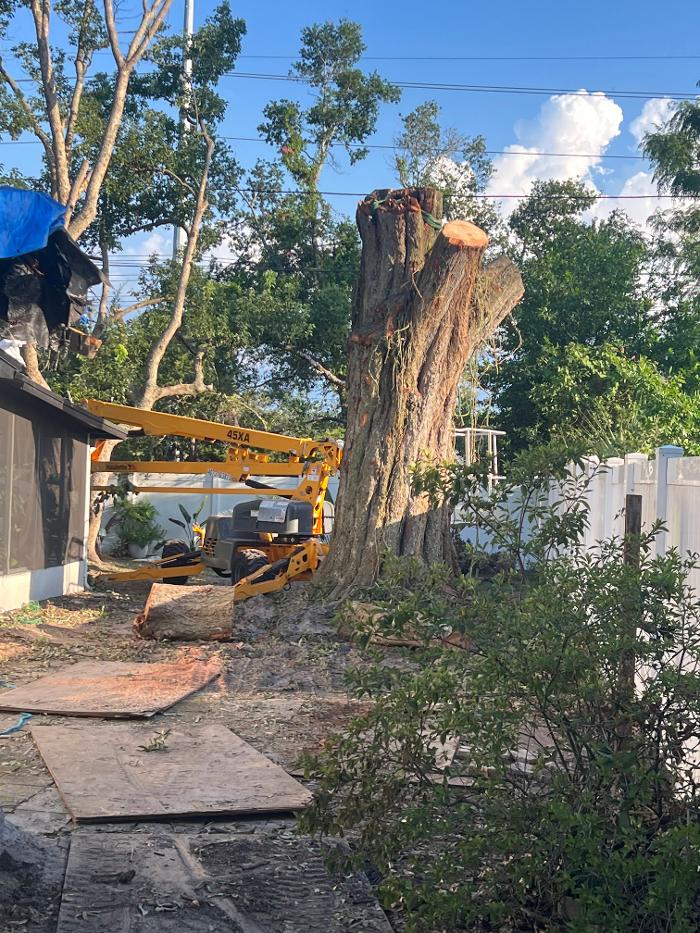 THERE'S A WAY TREE SERVICE LLC Image