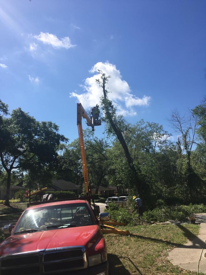 THERE'S A WAY TREE SERVICE LLC Image