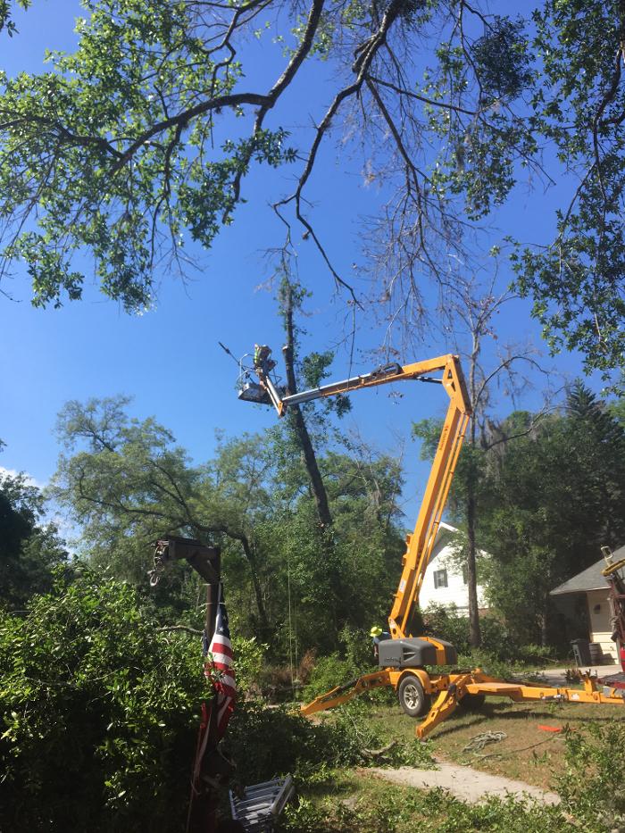 THERE'S A WAY TREE SERVICE LLC Image