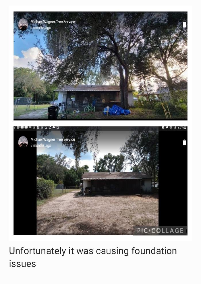 THERE'S A WAY TREE SERVICE LLC Image