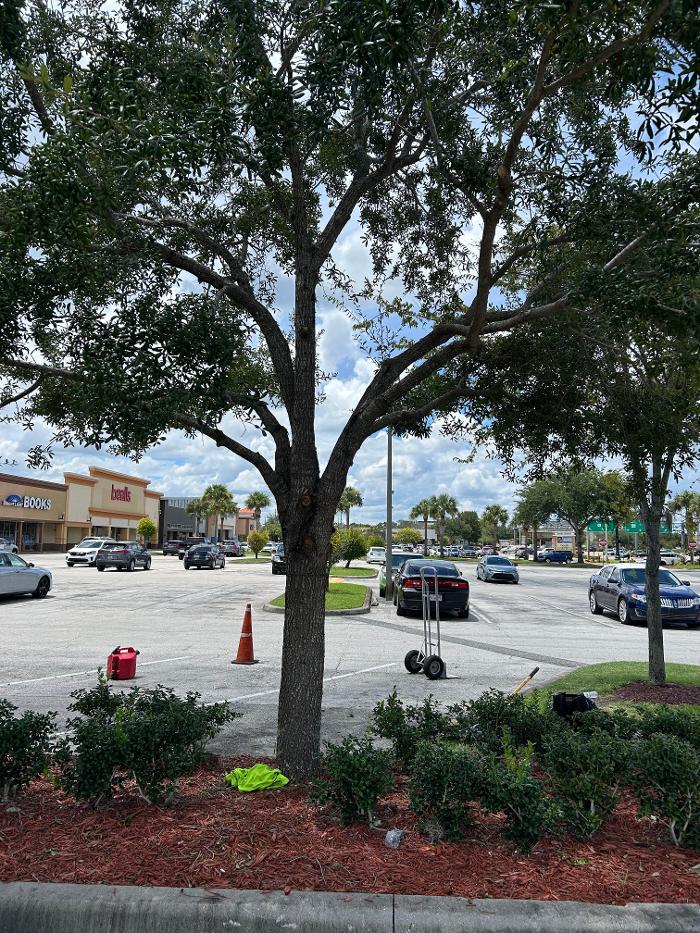 THERE'S A WAY TREE SERVICE LLC Image