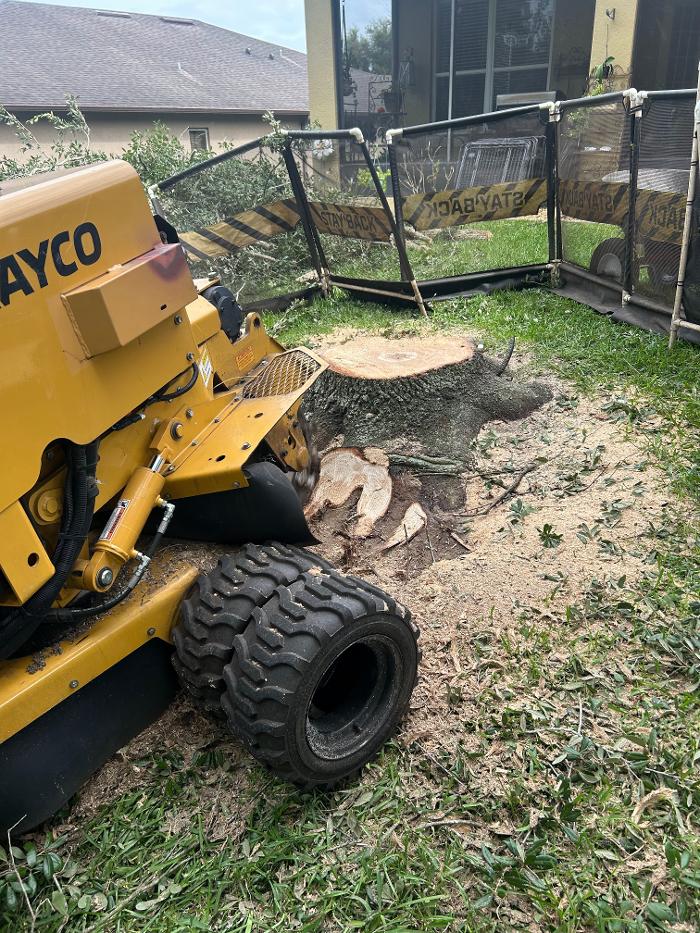 THERE'S A WAY TREE SERVICE LLC Image