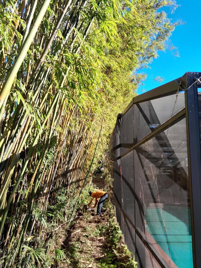 THERE'S A WAY TREE SERVICE LLC Image