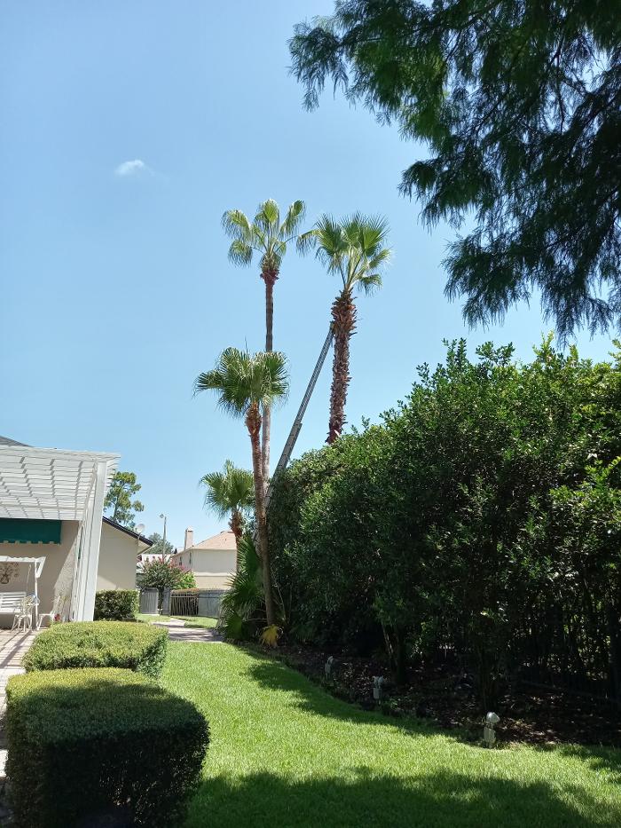 THERE'S A WAY TREE SERVICE LLC Image