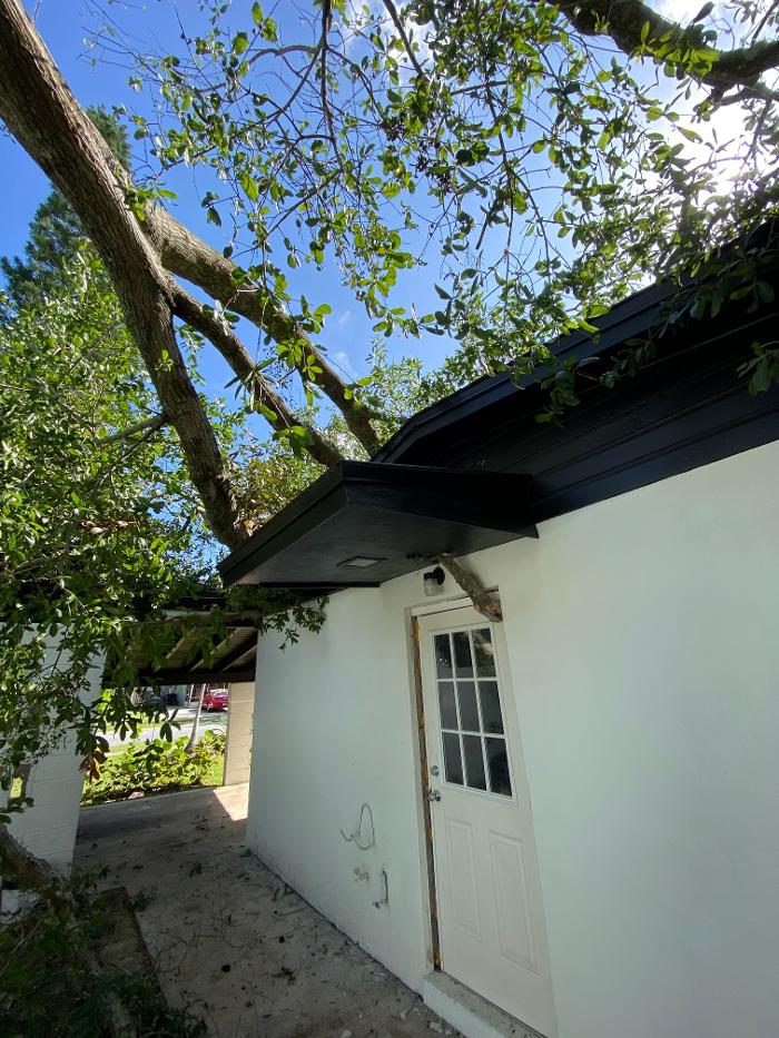 THERE'S A WAY TREE SERVICE LLC Image