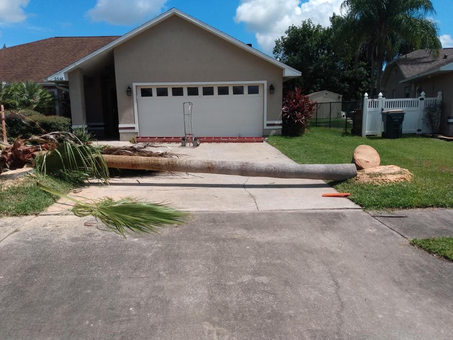 THERE'S A WAY TREE SERVICE LLC Image