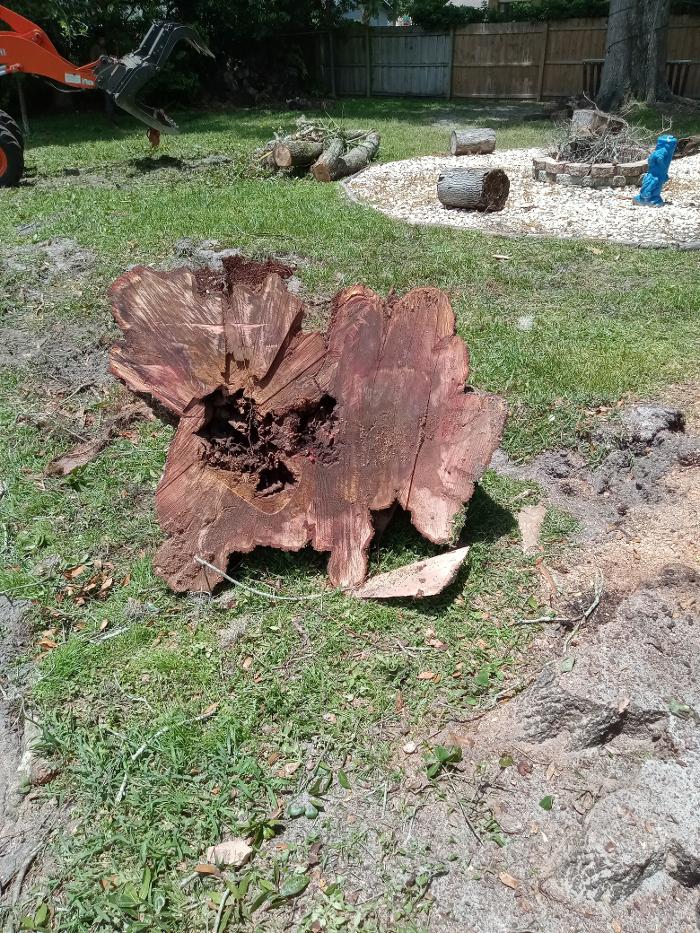 THERE'S A WAY TREE SERVICE LLC Image