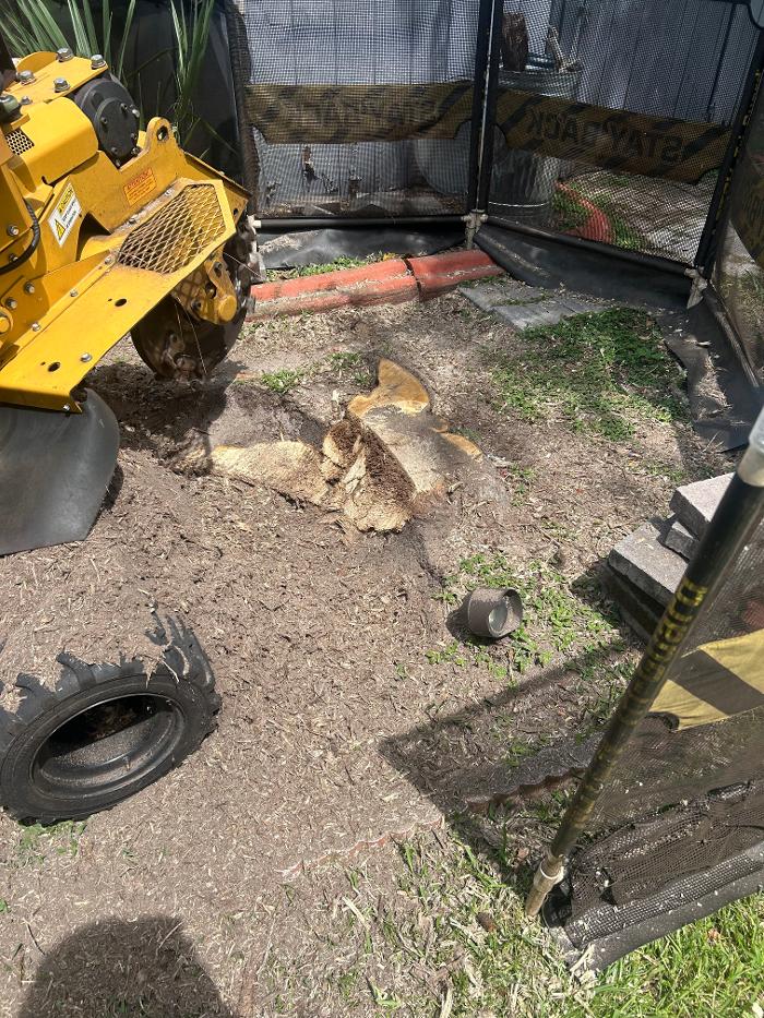 THERE'S A WAY TREE SERVICE LLC Image