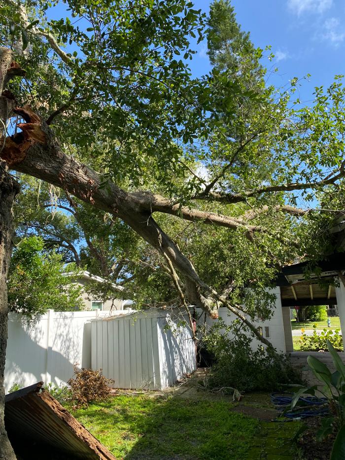 THERE'S A WAY TREE SERVICE LLC Image