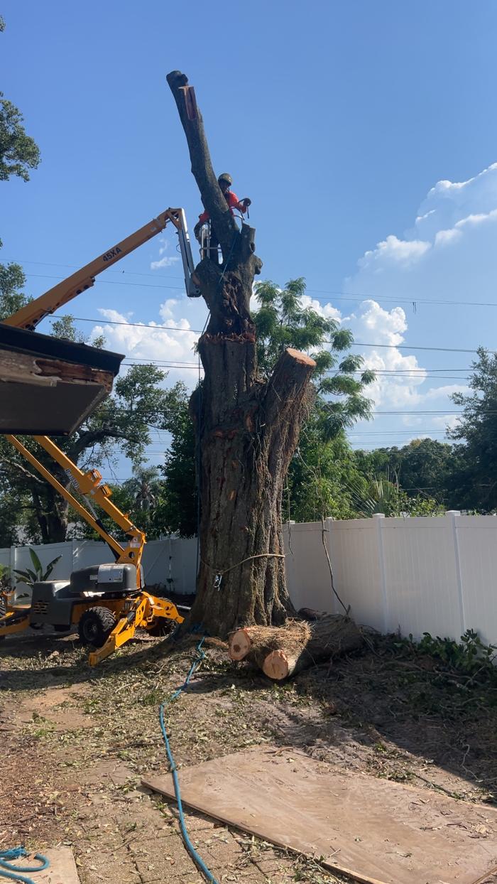 THERE'S A WAY TREE SERVICE LLC Image
