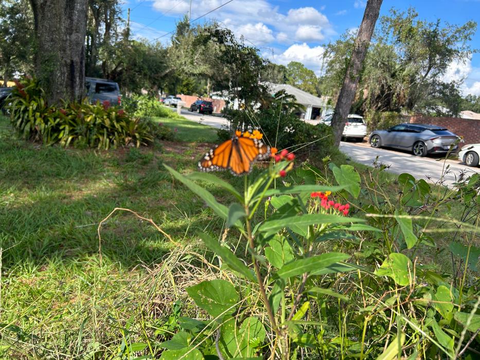 THERE'S A WAY TREE SERVICE LLC Image