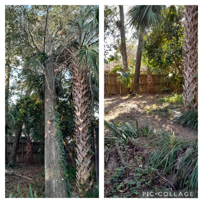 THERE'S A WAY TREE SERVICE LLC Image