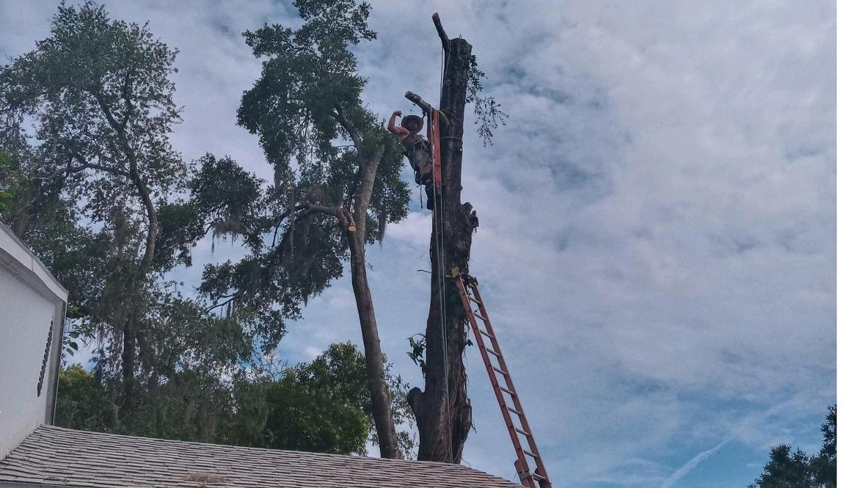 THERE'S A WAY TREE SERVICE LLC Image