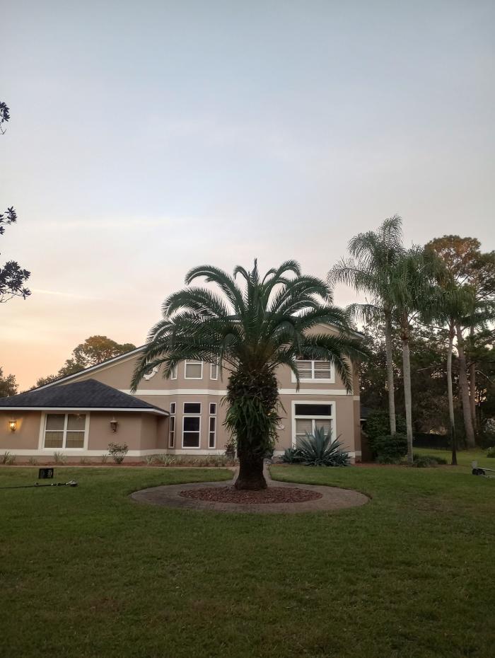 THERE'S A WAY TREE SERVICE LLC Image