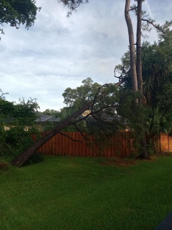 THERE'S A WAY TREE SERVICE LLC Image