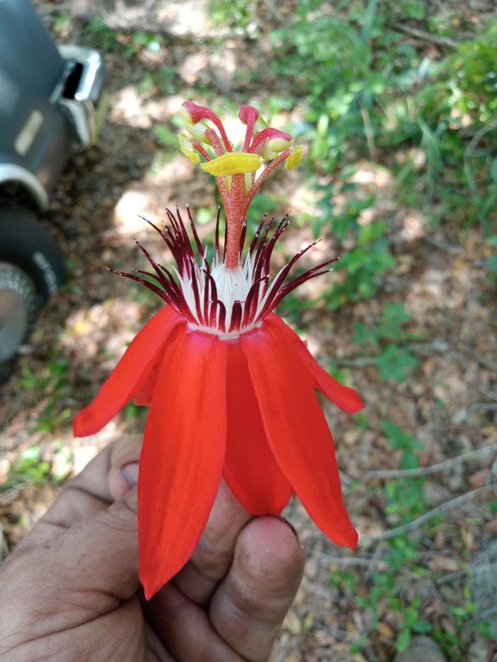 THERE'S A WAY TREE SERVICE LLC Image