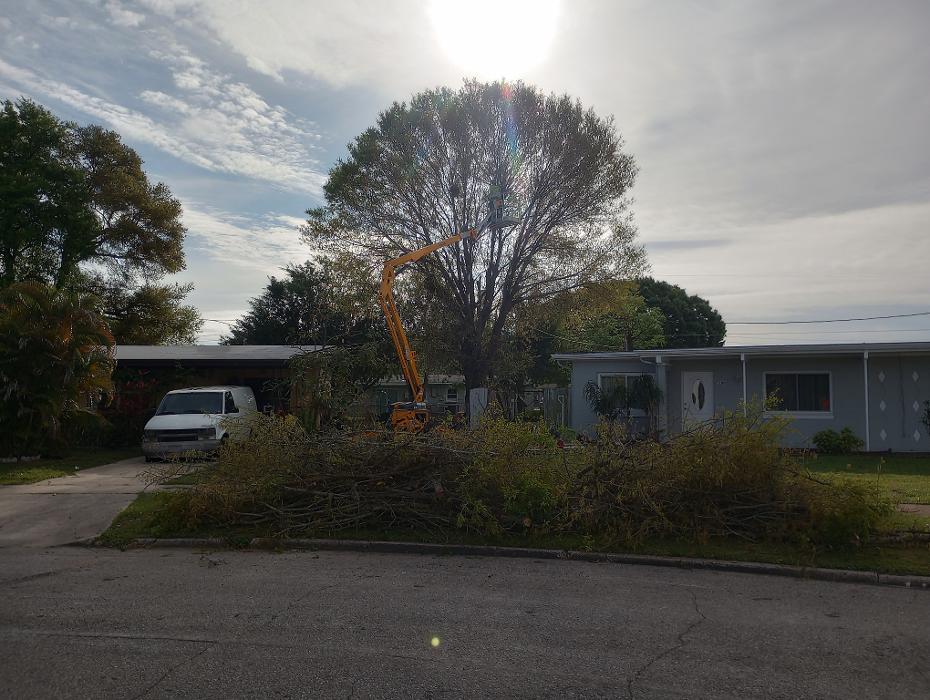 THERE'S A WAY TREE SERVICE LLC Image