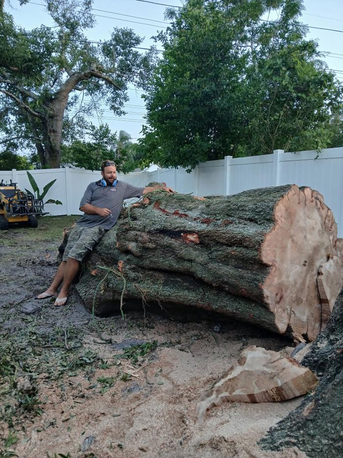 THERE'S A WAY TREE SERVICE LLC Image